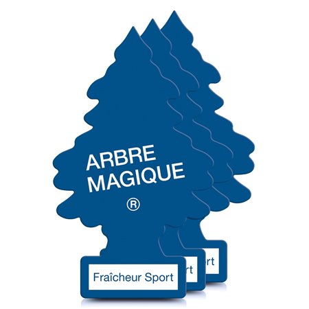KIT PINO 3 SPORT ARBRE MAGIQUE CS8