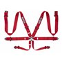 ARNES 6PT P-3" PULL UP ROJO