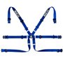 ARNES 6PT P-2" FORMULA AZUL