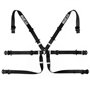 ARNES 6PT P-2" FORMULA NEGRO