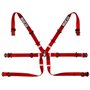 ARNES 6PT P-2" FORMULA ROJO