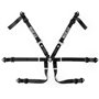 ARNES PRIME F3 NEGRO