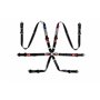 ARNES SPARCO 6 PUNTOS PRO H-9 EVOLUTION BLK