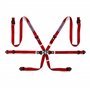 ARNES MARTINI 6PT P-3"-4 ALL PU