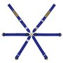 ARNES 6 PUNTOS GT4 991-984 FIA8853-2016 AZUL