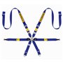 ARNES 6 PUNTOS GAMA MEDIA GT3 997-911 FIA8853-2016 AZUL
