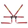 ARNES SABELT 6 PUNTOS FORMULA  ACERO FIA8853-2016 2" PULL UP ROJO