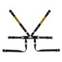 ARNES SABELT 6 PUNTOS FORMULA  ACERO FIA8853-2016 2" PULL UP COLOR NEGRO