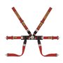 ARNES SABELT 6 PUNTOS FORMULA MID FIA8853-2016 2" PULL UP ROJO