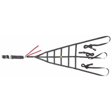 RACING NET