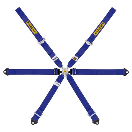 ARNES 6 PUNTOS GT4 991-984 FIA8853-2016 AZUL