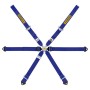 ARNES 6 PUNTOS GT4 991-984 FIA8853-2016 AZUL