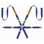 ARNES 6 PUNTOS GAMA MEDIA GT3 997-911 FIA8853-2016 AZUL