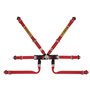 ARNES SABELT 6 PUNTOS FORMULA ALUMINIO FIA8853-2016 ROJO