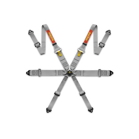 ARNÉS DE SEGURIDAD PROFESIONAL 6 PUNTOS 2/3 FHR-GRY