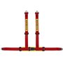 ARNES CLUBMAN (NO ECE APROBADO) 4 PUNTOS, ROJO, TORNILLO