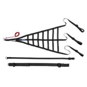 RED DE SEGURIDAD PARA VENTANILLA SPARCO FIA