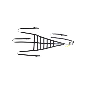 RED DE CARRERAS FIA8863/2013