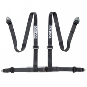 4 FIX PUNTOS ARNES SCREW FI