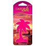 AMBIENTADOR CS HANGING PALM CORONADO CHERRY
