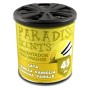 PERFUMADOR LATA GEL VAINILLA PARADISE 100GR CS12