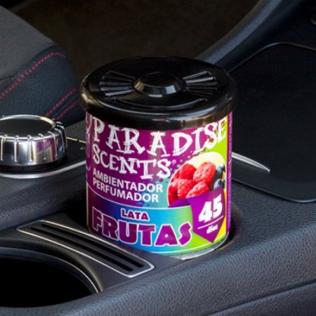 PERFUMADOR LATA GEL FRUTAS PARADISE 100GR CS12