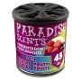PERFUMADOR LATA GEL FRUTAS PARADISE 100GR CS12