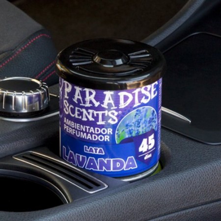 PERFUMADOR LATA GEL LAVANDA PARADISE 100GR CS12