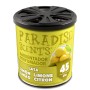 PERFUMADOR LATA GEL LIMON PARADISE 100GR CS12