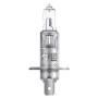 HALOGEN OSRAM ORGINAL 64155 P14,5S 24V 70W H1
