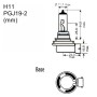 L�MPARA HAL�GENA M-TECH PGJ19-2 12V/55W H11