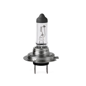 L�MPARA HAL�GENA M-TECH HEAVY DUTY 24V/70W H7 | 10 UDS