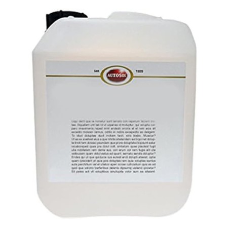 CHAMP� PARA COCHE AUTOSOL BID�N 5 L