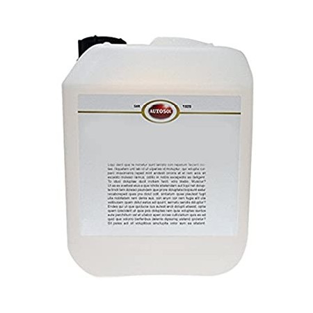 CHAMP� PARA COCHE AUTOSOL BID�N 10 L