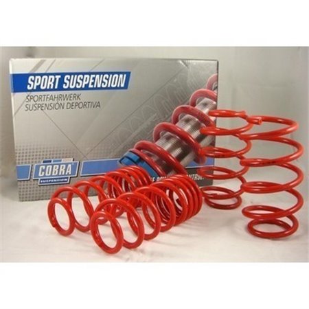 MUELLES DEPORTIVOS COBRA 01.4176